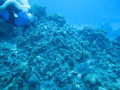 IMG_6034b.jpg