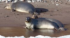 IMG_0165.jpg
