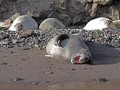 IMG_0177.jpg