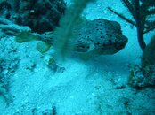 DSC01826.jpg