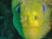 DSC01832.JPG