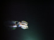 DSC01886.JPG