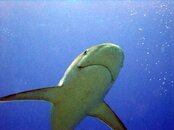 DSC00105-G.jpg