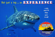 Horizon Charters - It's Not Just A Trip.jpg