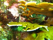 IMG_0914.jpg