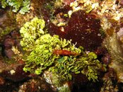 IMG_0971.jpg