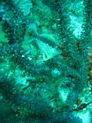IMG_1020.jpg