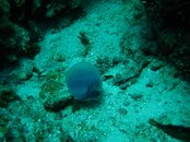 IMG_0864.jpg