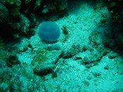 IMG_0865.jpg