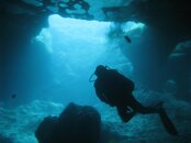 IMG_1244.jpg