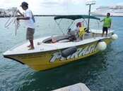 parasailing.JPG