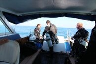 IMG_5667.jpg