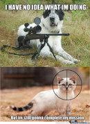 rmx-dog-with-a-gun_c_1812739.jpg