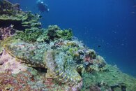 Similan-087crop.jpg