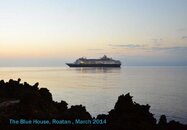 DSC_5534.jpg