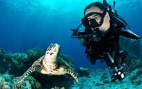 Scott and Turtle - Tubbataha.jpg