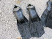 IMG_2951.jpg