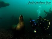 pnw_diver_2014-03_Cover.jpg
