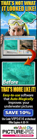 Vividpix banner.gif