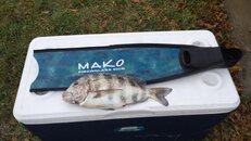 20140308_183020.jpg