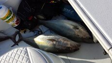 20140209_165705.jpg