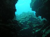 DSCN1267.jpg