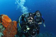 IMG_1843_edited-1.jpg