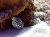 IMG_1224.jpg