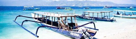 dive-boat-fleet.jpg