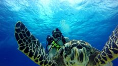 SnapShotturtle selfie.jpg