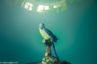 DSC0099020140408.jpg