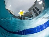 pool-photo-practice_1.jpg