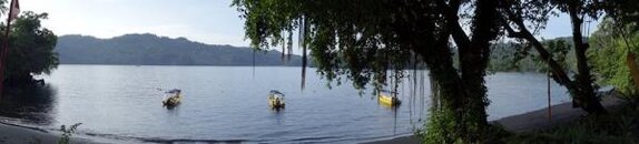 IMG_1378.jpg