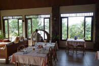 IMG_1380.jpg