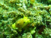 DSCN2931.jpg