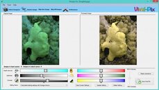 frogfish.jpg