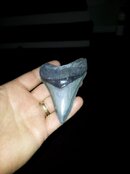 20140424_072902.jpg