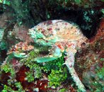 IMG_0314_edited-2.jpg