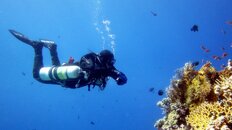 sidemount-specialty.JPG