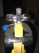 IMG_2639.jpg