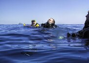 a long swim.jpg