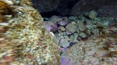 GOPR0345.MP4_snapshot_00.47_[2014.05.01_20.39.59].jpg