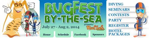 bugfest-template-header.jpg