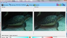 Turtlefix.jpg