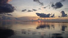 DSC02231.jpg
