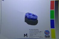 P1000817.jpg