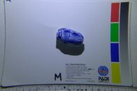 P1000816.jpg