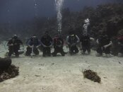 Dive Team 2.jpg