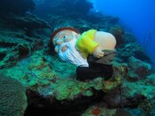 IMG_0038.jpg