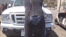wetsuit hole in butt 2014-05-03-cs.jpg